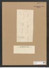 Diatomeae indet. Zeichnungen Sammlung Grunow Nr. 4464 (NHMW-BOT-W0372422)
